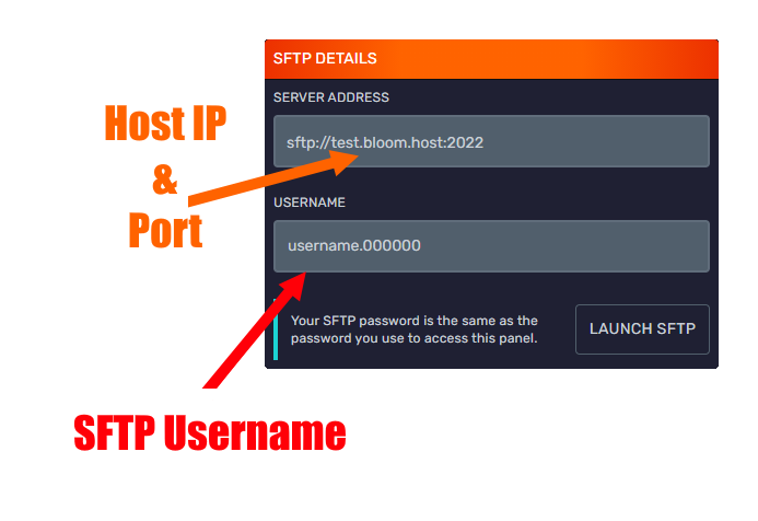 SFTP client connected to the server file system
